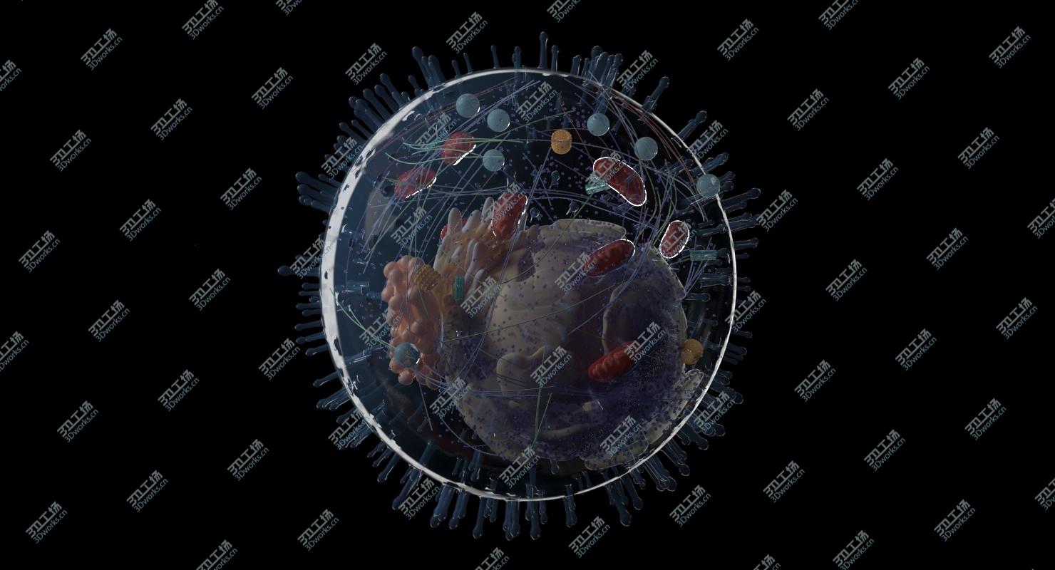 images/goods_img/2021040235/3D Human Cell/2.jpg